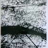 Phillip Buntin, Untitled, 2012